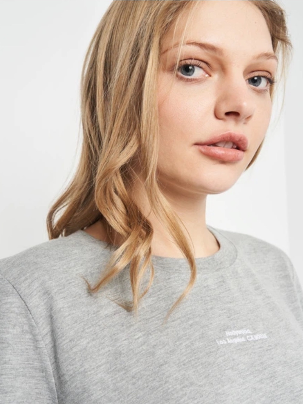 Zara Embroidered Los Angeles Classic Grey Crewneck Shirt Top